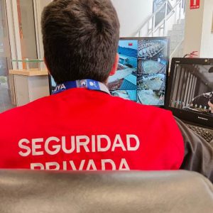 Consultores y Asesores de Seguridad en Chile